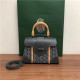 GOYARD 고야드 사이공백  미니 21CM G0091-4 신상