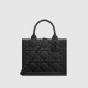 DIOR 디올  북 토트백 스몰 M1325